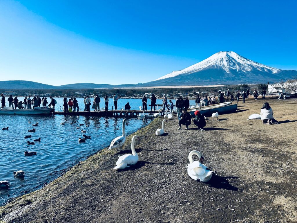 白鳥浜岸邊