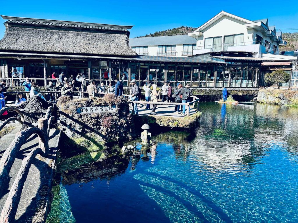 忍野八海-中池