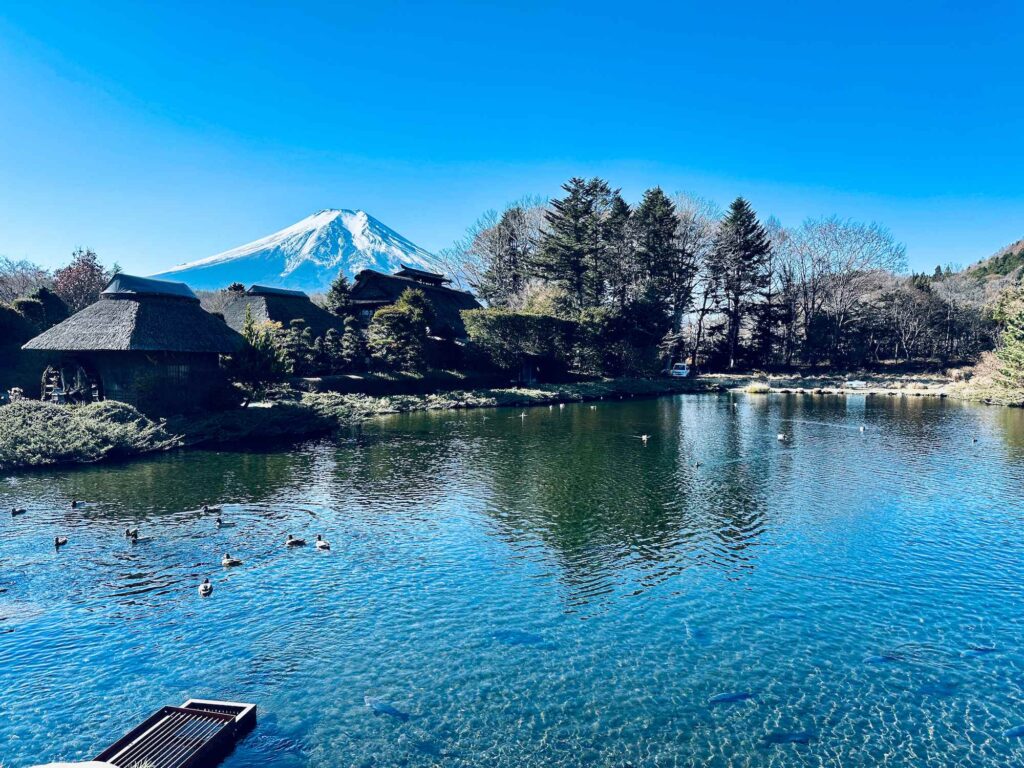 榛の木林資料館園內水池